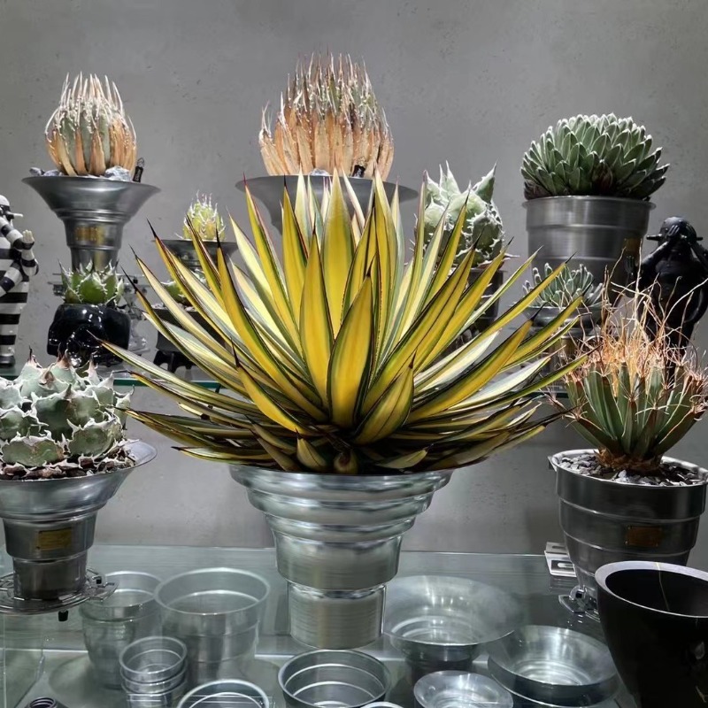 وعاء زرع معدني من الألومنيوم ل - مراجعة 3D Printing Pot وسعره
